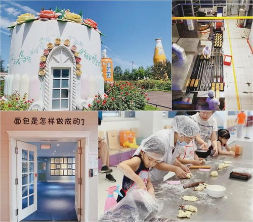 文旅融合新花样 食品工厂参观与沉浸体验引领旅游文化发展